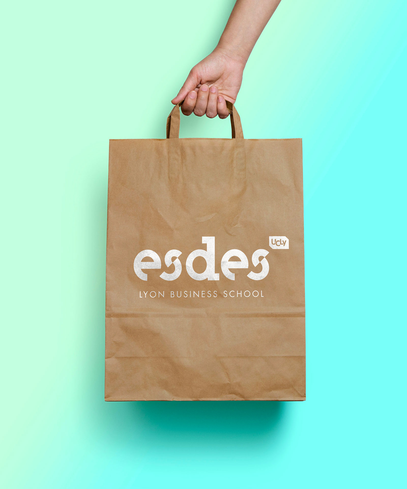 Webdesign / graphisme / logo / publicité / campagne pour Esdes à Lyon