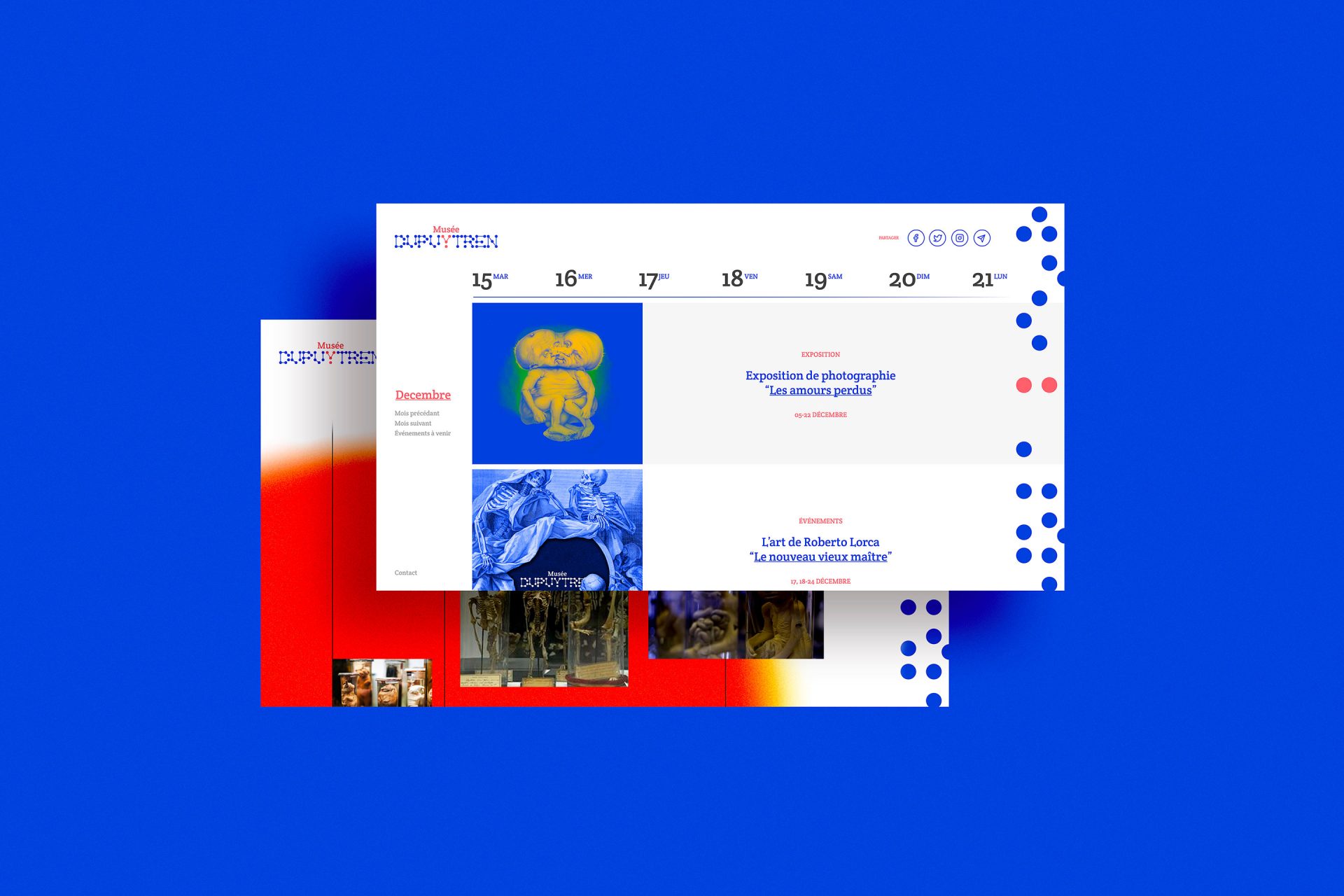 Identité / webdesign / logo / papeterie / graphisme pour le musée Dupuytren à Paris